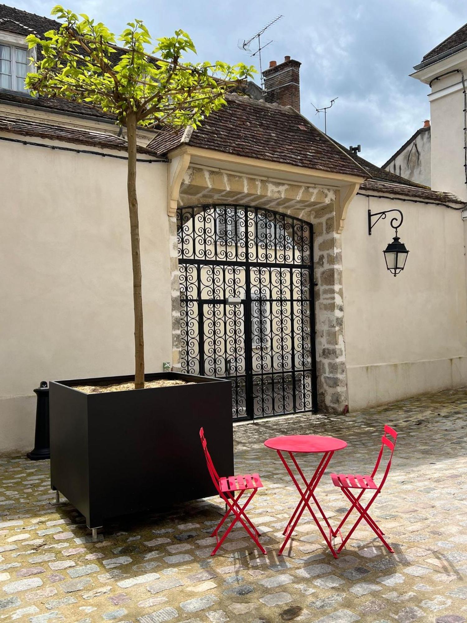 Le Laurencin Sens - Le Duplex - Coeur De Ville Kültér fotó